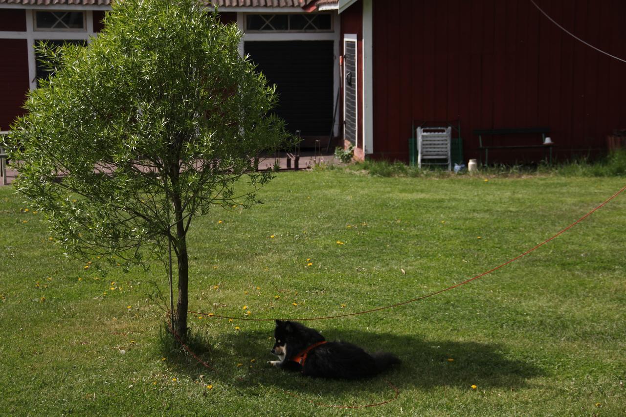 Mora Vandrarhem Och Gaesthem Vinäs Exterior foto