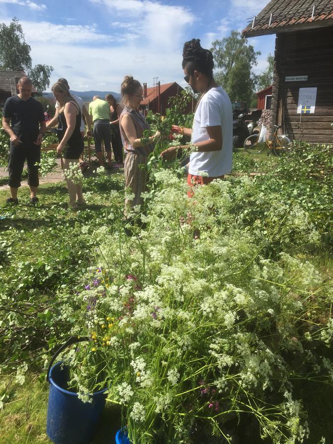 Mora Vandrarhem Och Gaesthem Vinäs Exterior foto